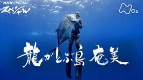 龍がとぶ島 奄美