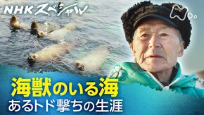 海獣のいる海 あるトド撃ちの生涯