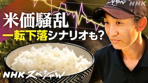 米価騒乱 揺れる“主食の未来”