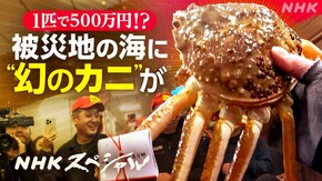 幻のカニ“輝(かがやき)”を追え ~能登・再起の海~