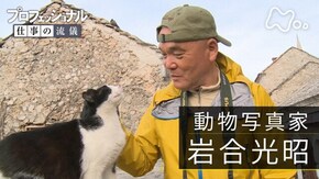 「猫を知れば、世界が変わる 動物写真家・岩合光昭」