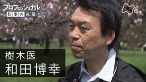 「桜咲く、人で咲く~樹木医・和田博幸~」