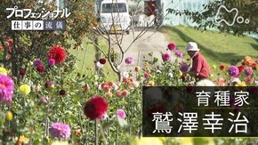 「魔性の花に、魅せられて~育種家・鷲澤幸治~」