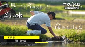 一粒青々、己を込める ~米農家 関智晴~
