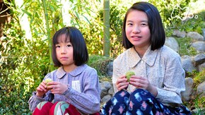 第 4回 ふるさとは安来