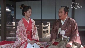 16回 波乱の花見