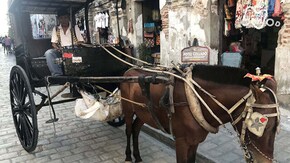 「スペインが残した街 ビガン~フィリピン~」