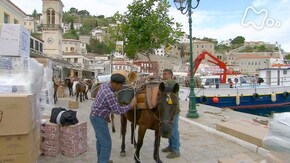 白壁とラバのワンダーランド イドラ島~ギリシャ~