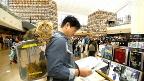 最新トレンドを生み出す街 ソウル カンナム界わい~韓国~