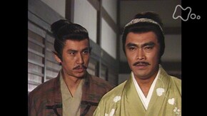 第43回 八千年の春