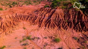 「南米コロンビア 七色渓谷と生命の楽園」