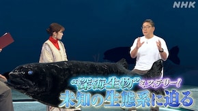 “深海生物”ミステリー!未知の生態系に迫る