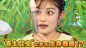 “寄生昆虫”に学ぶ生存戦略!?