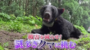 被害を減らせ! 謎多きクマに挑む