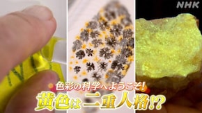 色彩の科学へようこそ!“黄色”は二重人格!?