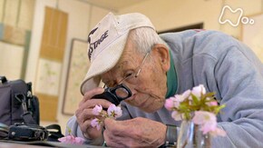 「ひなたの氷 九二歳、桜守の遺言」