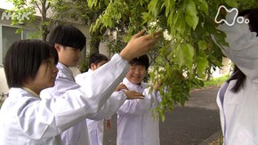 「心が躍る生物教室」