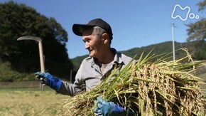 あぶくまロマンチック街道~故郷と原発事故の13年~