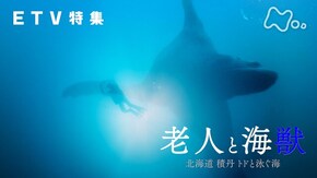 老人と海獣 ~北海道 積丹 トドと泳ぐ海~