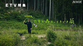 カキと森と、ときどき凪