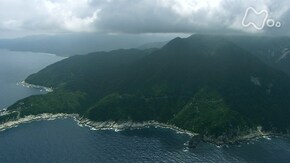 水めぐる島 屋久島(日本)