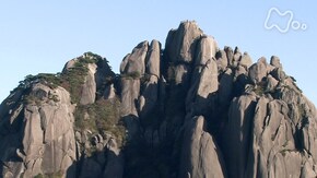 山水の天地に遊ぶ 黄山(中国)