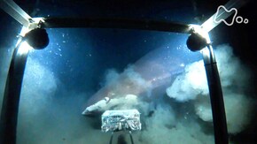 「日本最深 駿河湾 神秘の海底 深海に謎の怪魚を追え!」