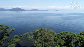 「今森光彦とめぐる琵琶湖 巨大水系に命あふれる」