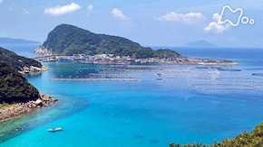 「高知県 柏島 海の交差点に奇妙な魚が躍る」
