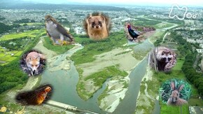 「多摩川トライアングル 密着3年!激変する東京の大自然」