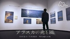 アラスカの光と風 星野道夫×大竹英洋 時を超える旅