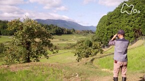 自然写真家 野生へのまなざし 中村征夫 東京湾と沖縄 海はいい!みんな生きている!/今森光彦 里山 みんな命の輪に生かされている