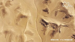 アフリカ ナミブ砂漠 幻の砂漠ライオン 孤高のメス 最後の物語