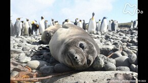 生命の躍動 太陽をめぐる地球の1年 ~自然の守り人と共に~