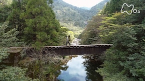「屋久島 太忠岳~千年杉の森と人の営み~」