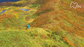 「焼石岳~みちのく 波打つ紅葉の山へ~」