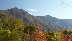 「雲取山~錦に輝く潤いの森~」