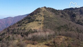 「奥秩父 笠取山~冬へ 多摩川源流の山~」