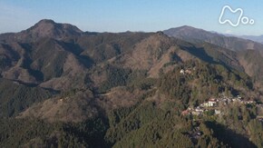 「大岳山・御岳山~芽吹き始める命~」