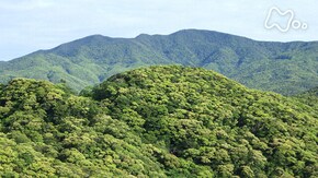 「湯湾岳~ワクワク!奄美大島の大自然~」