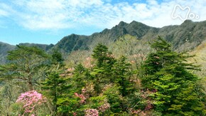 「祖母山~命育む 曙(あけぼの)の峰~」