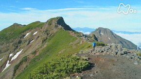 「八ヶ岳~花が彩る岩の峰~」