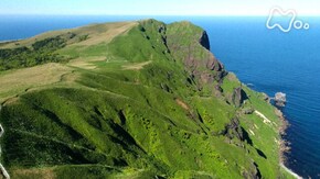 「礼文島 ツバメ山 ~氷河期が生んだ“花の浮島(うきしま)”~」