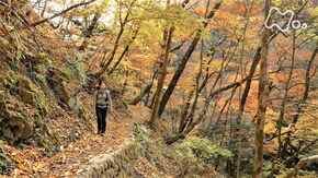 雲取山~錦織りなす紅葉の峰~