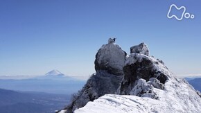八ヶ岳を縦走する ~北の優しさ 南の険しさ~