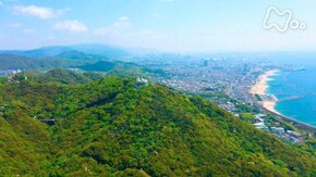 初夏 六甲山系を縦走する