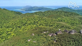南の島の“海から山へ”~石垣島 西表島~