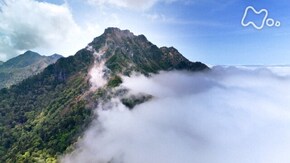 花満つる 天空の縦走路~“四国の屋根”石鎚山系~