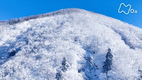 雪山は“天然の美術館” ~美ヶ原・赤城山・竜ヶ岳~