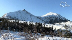 たおやかな雪山へ~北八ヶ岳~